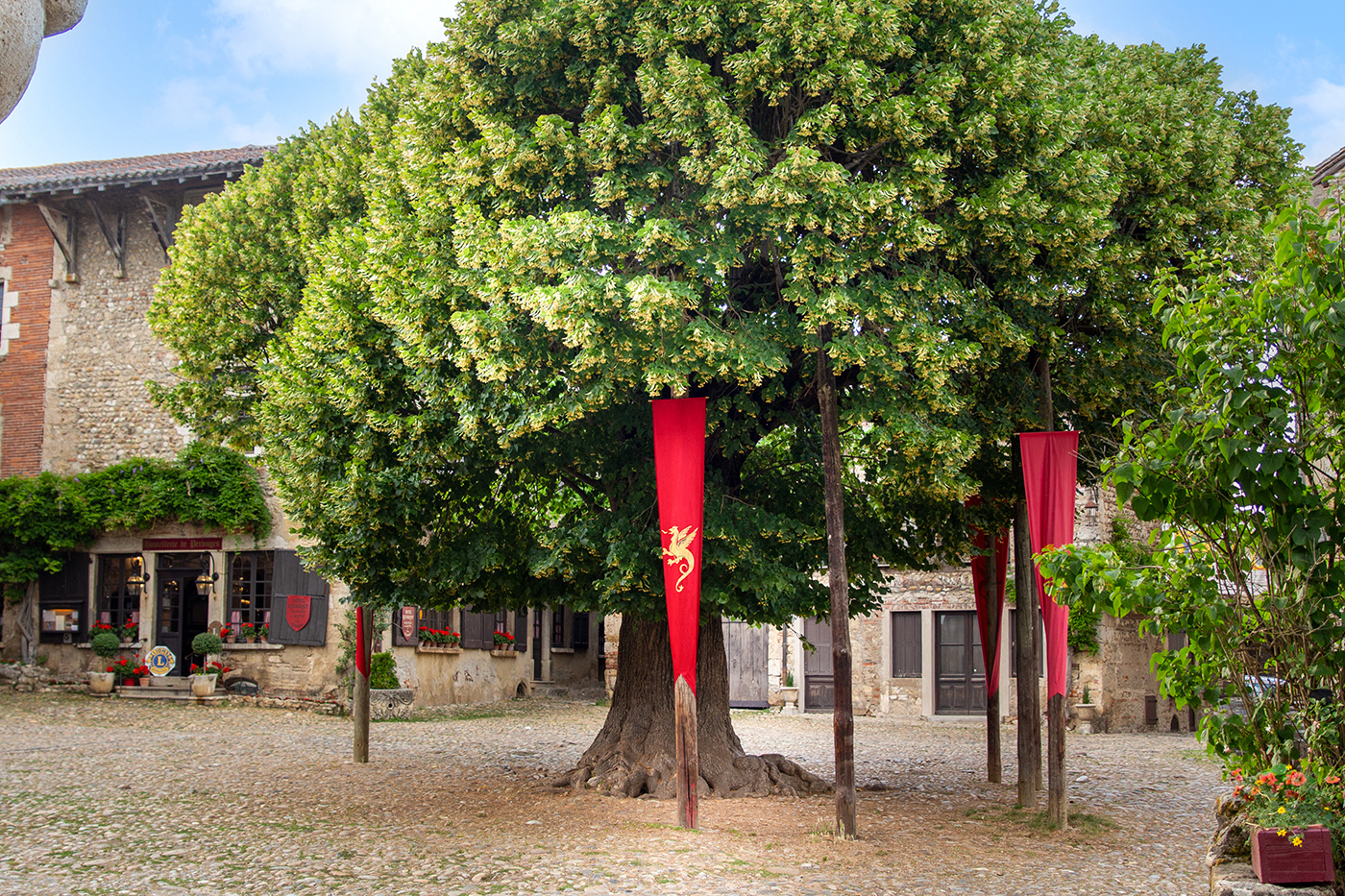 Place du Tilleul à Pérouges