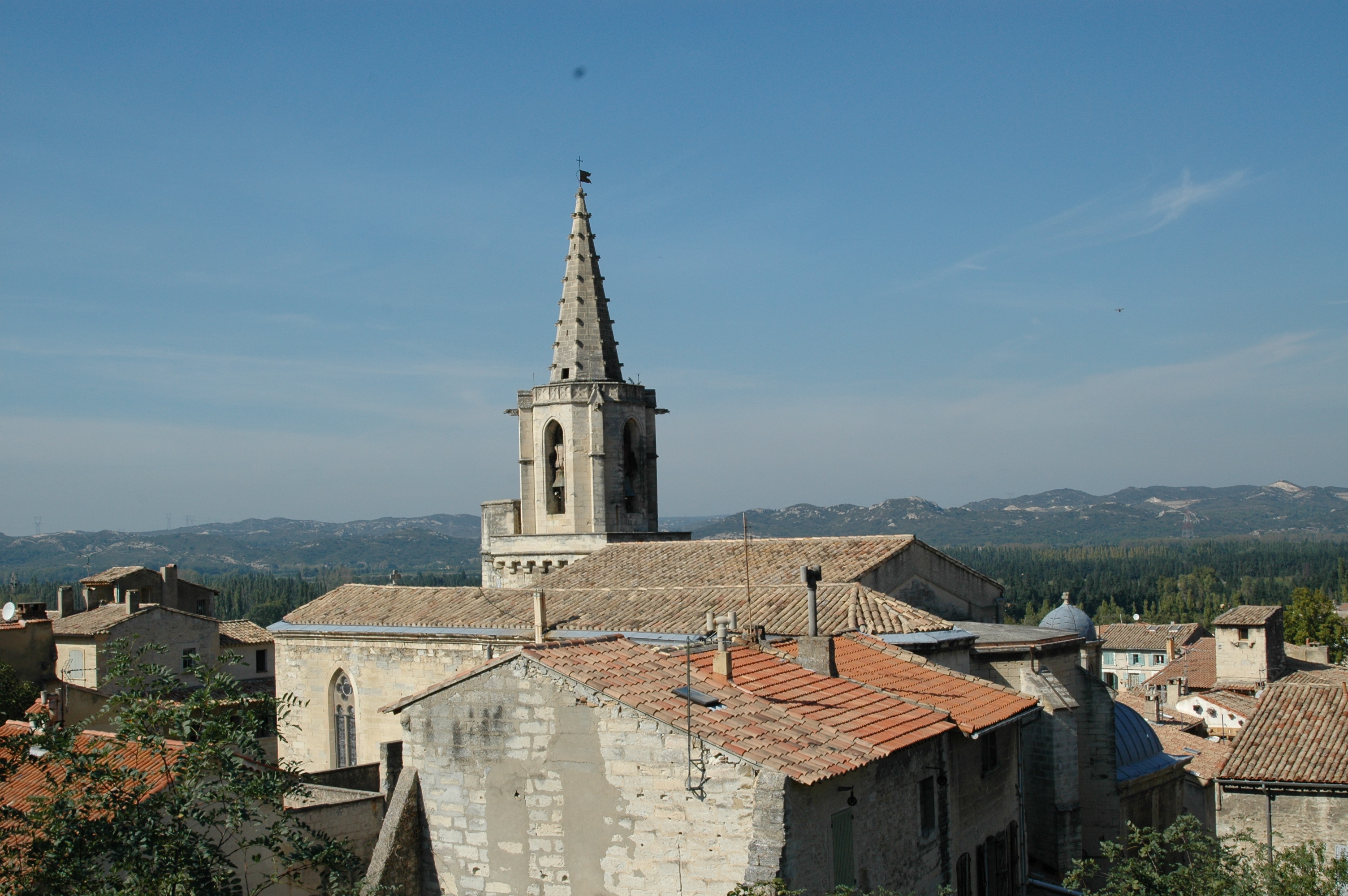 Eglise Notre Dame des Grâces, Barbentane - photo 3