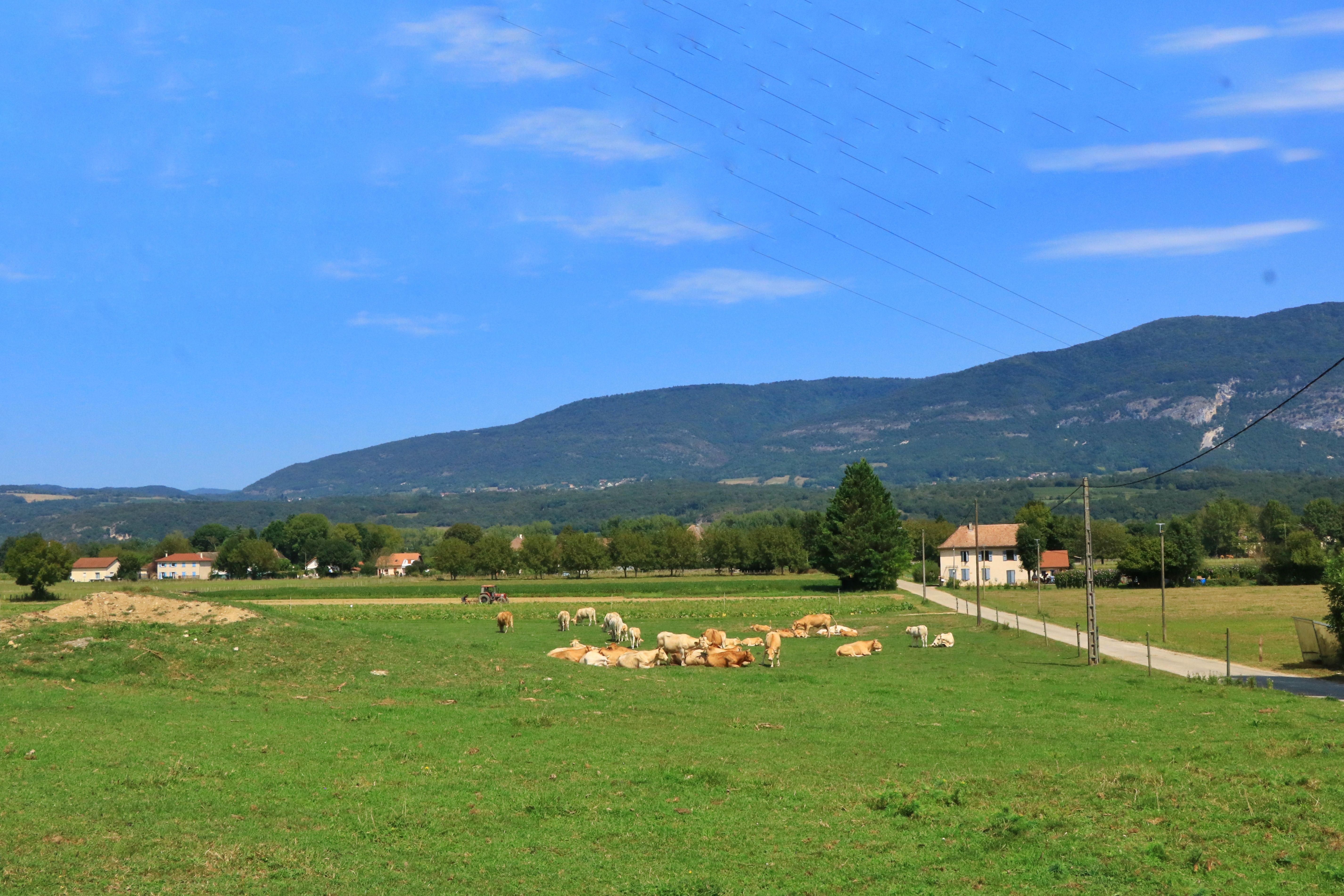 La Tour des Saveurs - producteur - Brangues - Balcons du Dauphiné - Nord-Isère- à moins d'une heure de Lyon