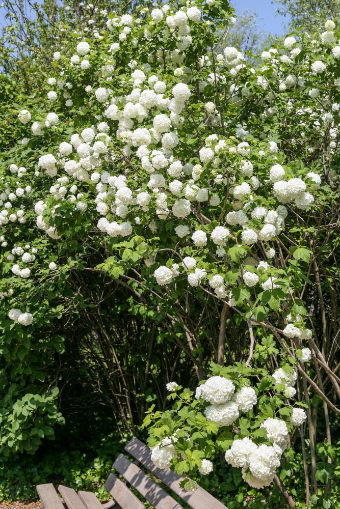 Jardin des Quatre Saisons