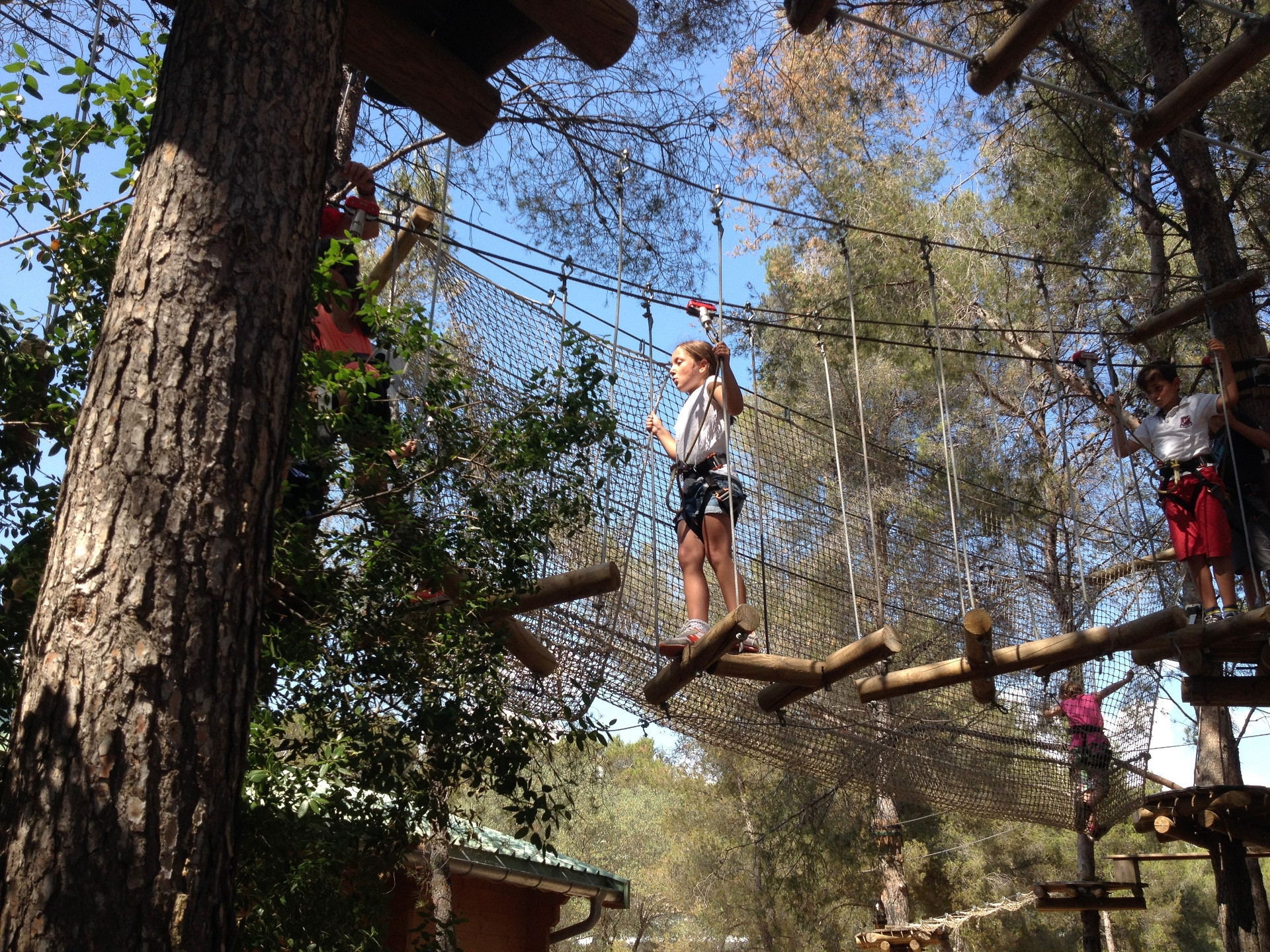 Cassis Forest - Parcours Aventure