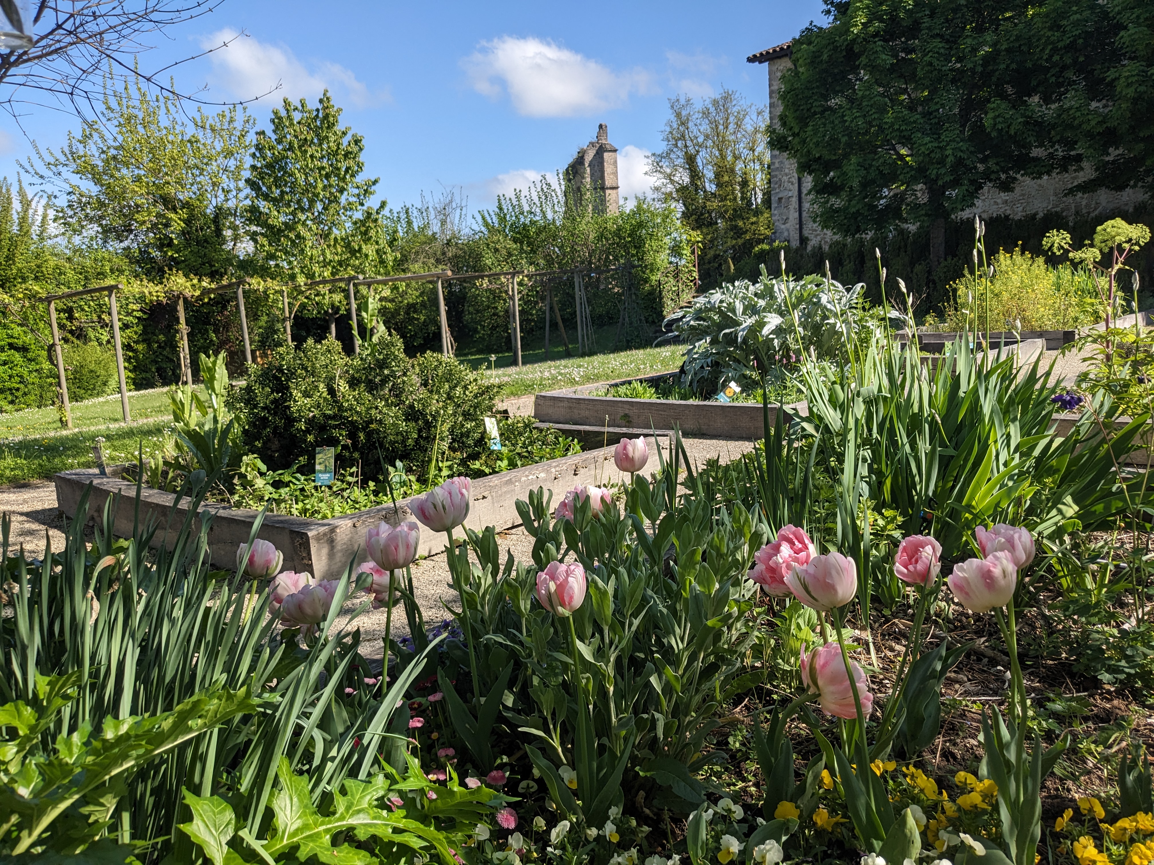 Jardin des simples