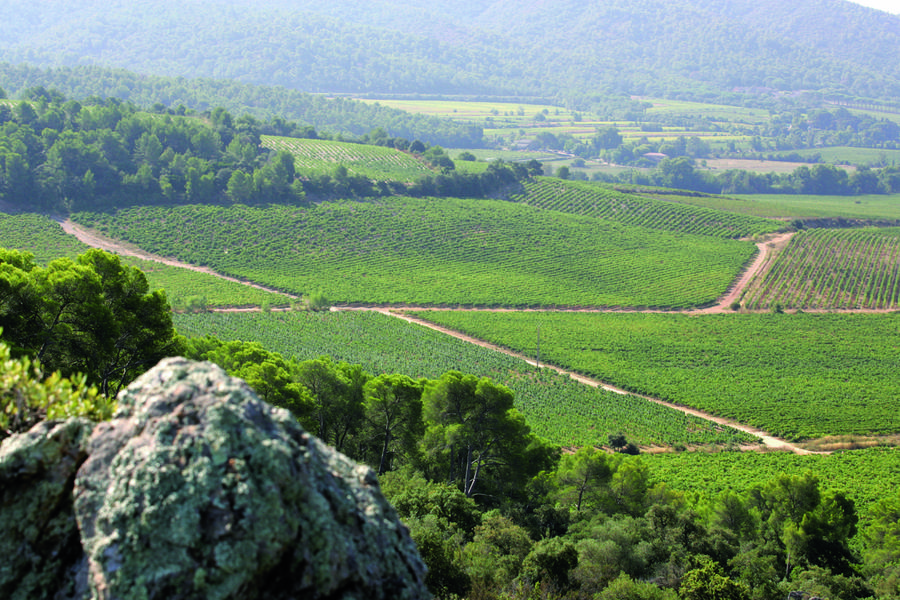 Château La Gordonne Pierrefeu du Var