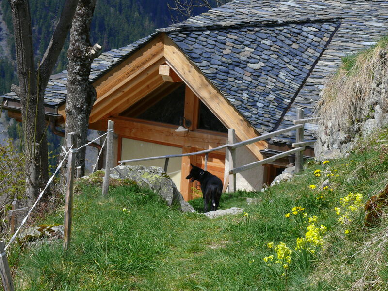 Sentier des noisettes