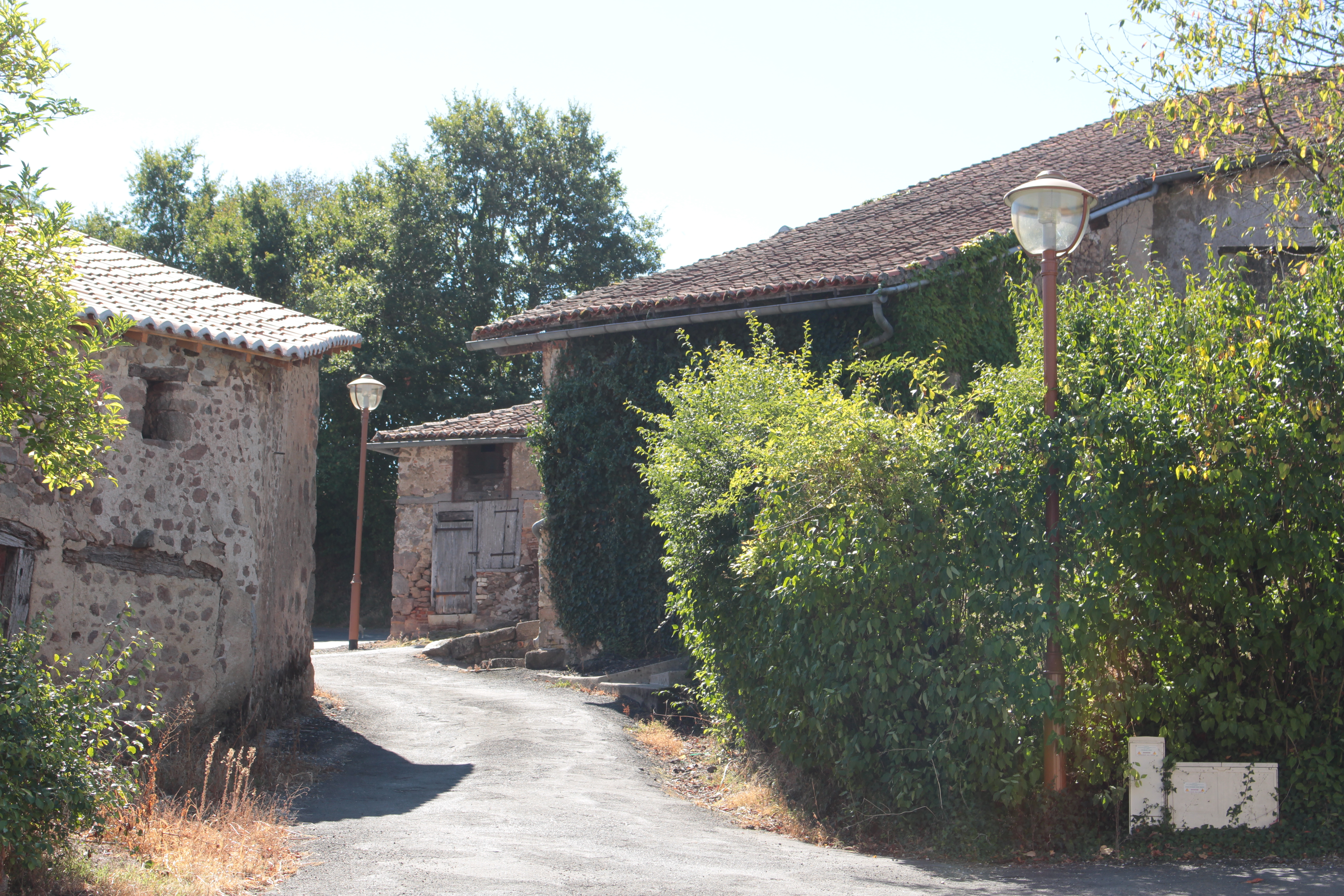 Chirac : sentier du Foulounoux