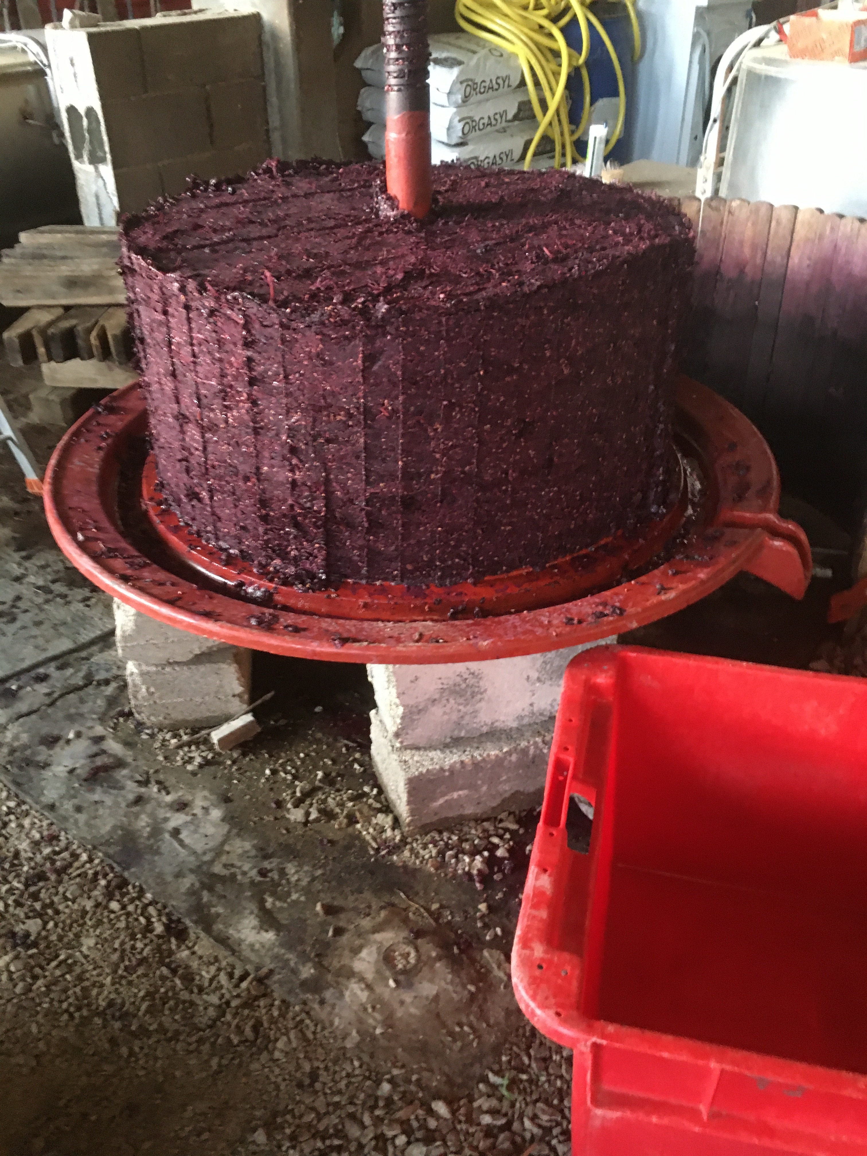 Gâteau de marc petit pressoir