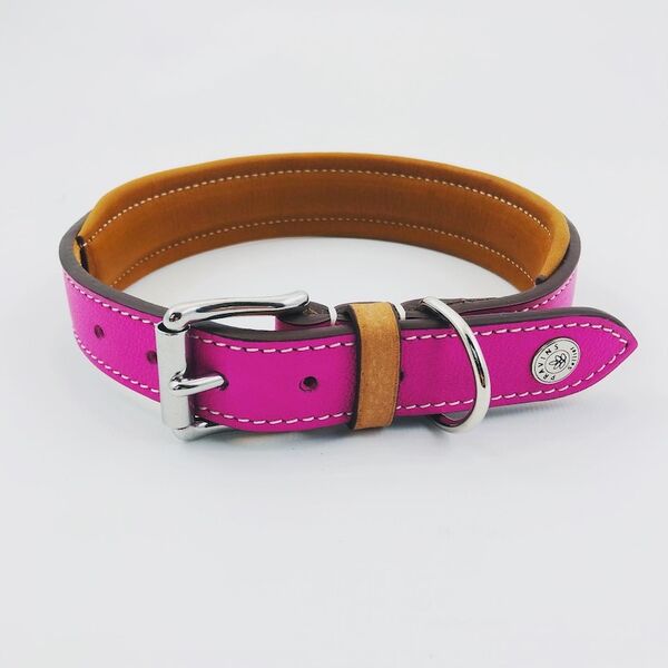 Collier pour Chien PRAVINS