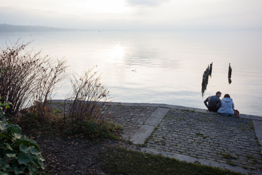 Sentier de la Pinede