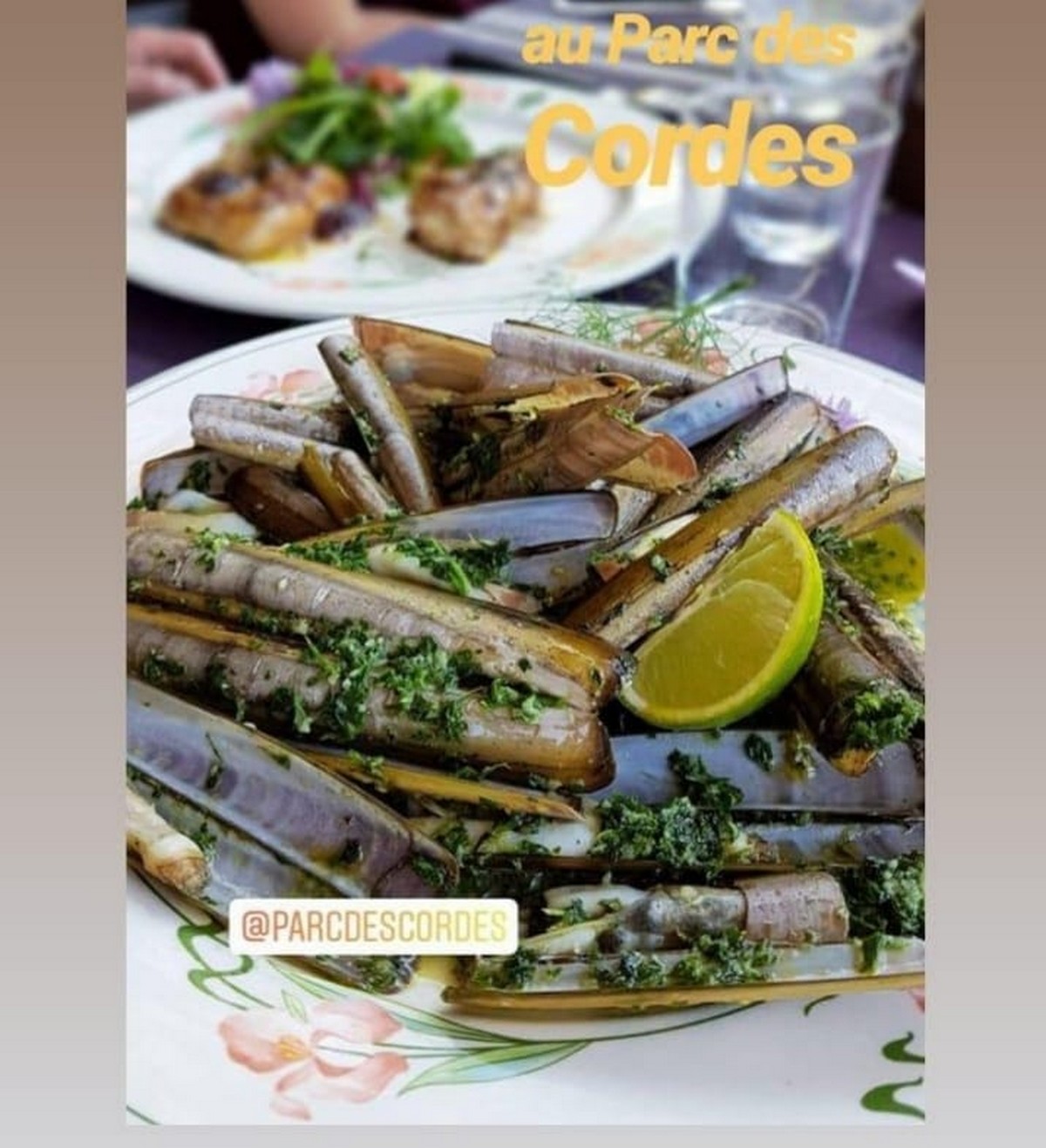 Le Parc Descordes - photo 3