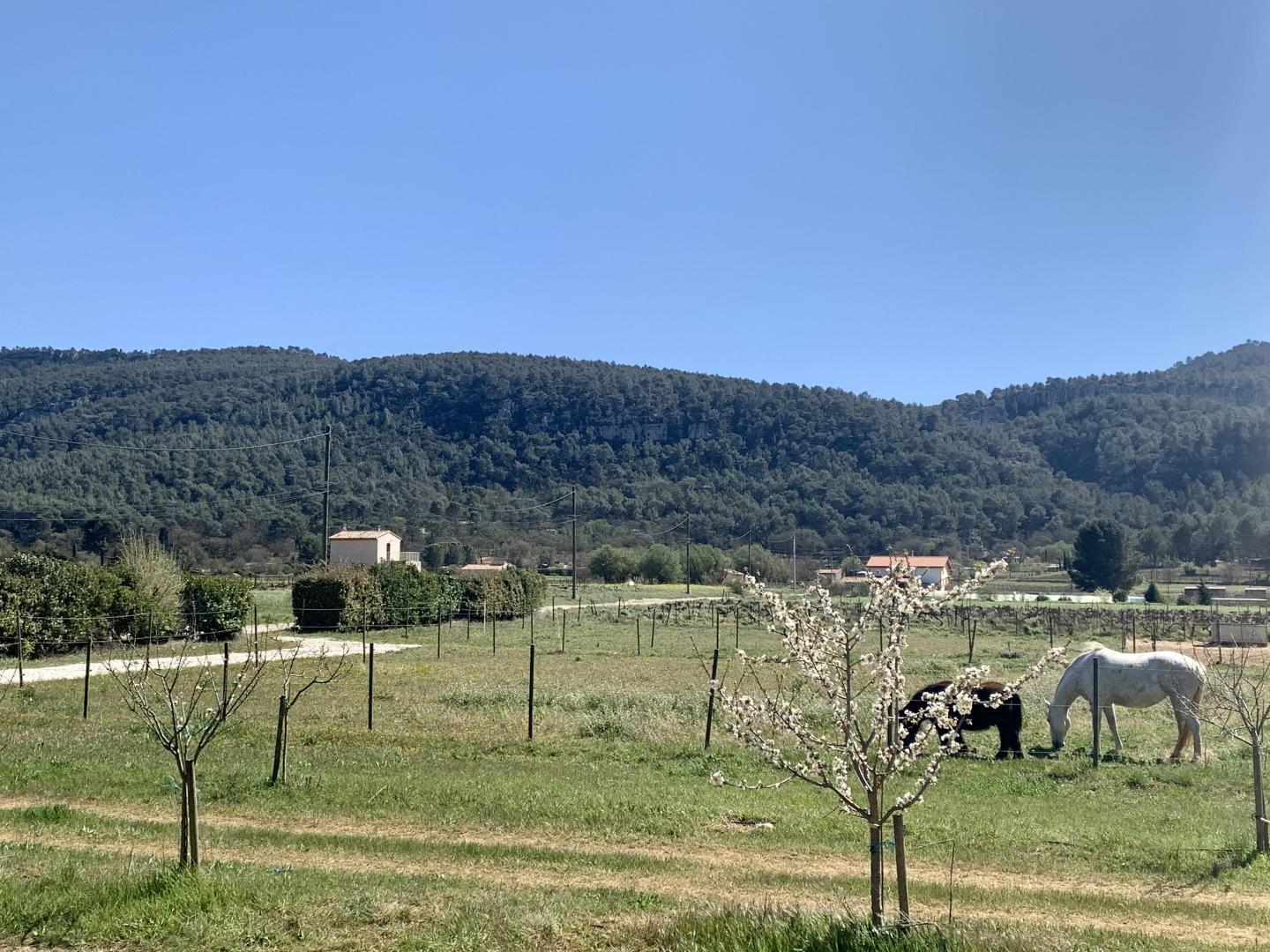 Gîte Port Pin, Cuges-les-Pins - photo 10