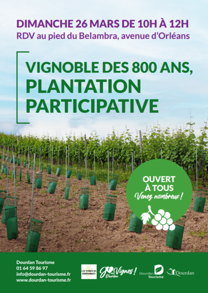 Vignoble des 800 ans, plantation participative