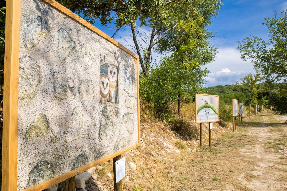 Expos photos : La beauté sauvage en majesté