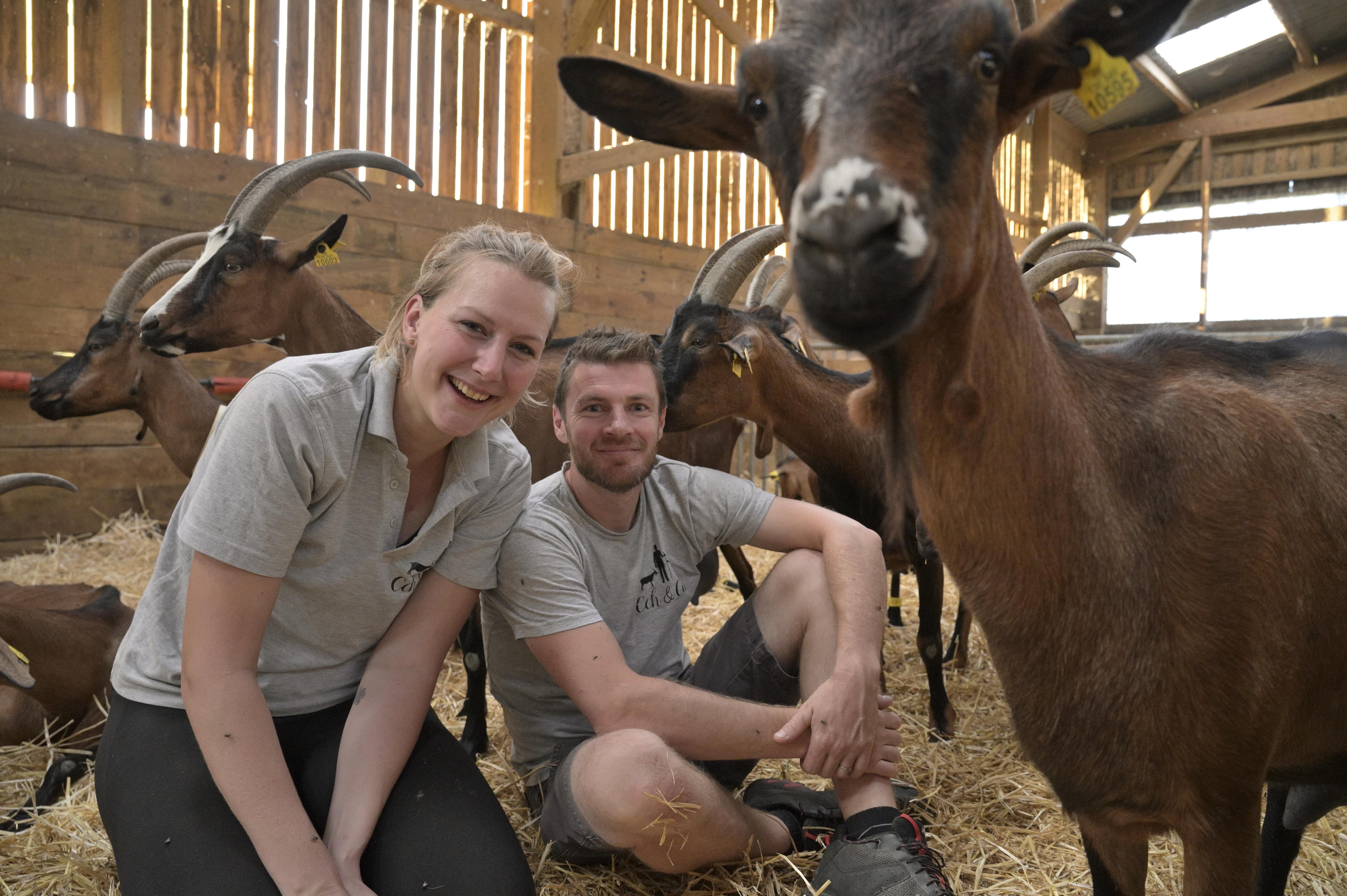 RDV de l'Office de Tourisme - Découvertes des patrimoines - Visite-dégustation "Une vie de biquette" à la chèvrerie Cch&cie à Bellegarde-Poussieu