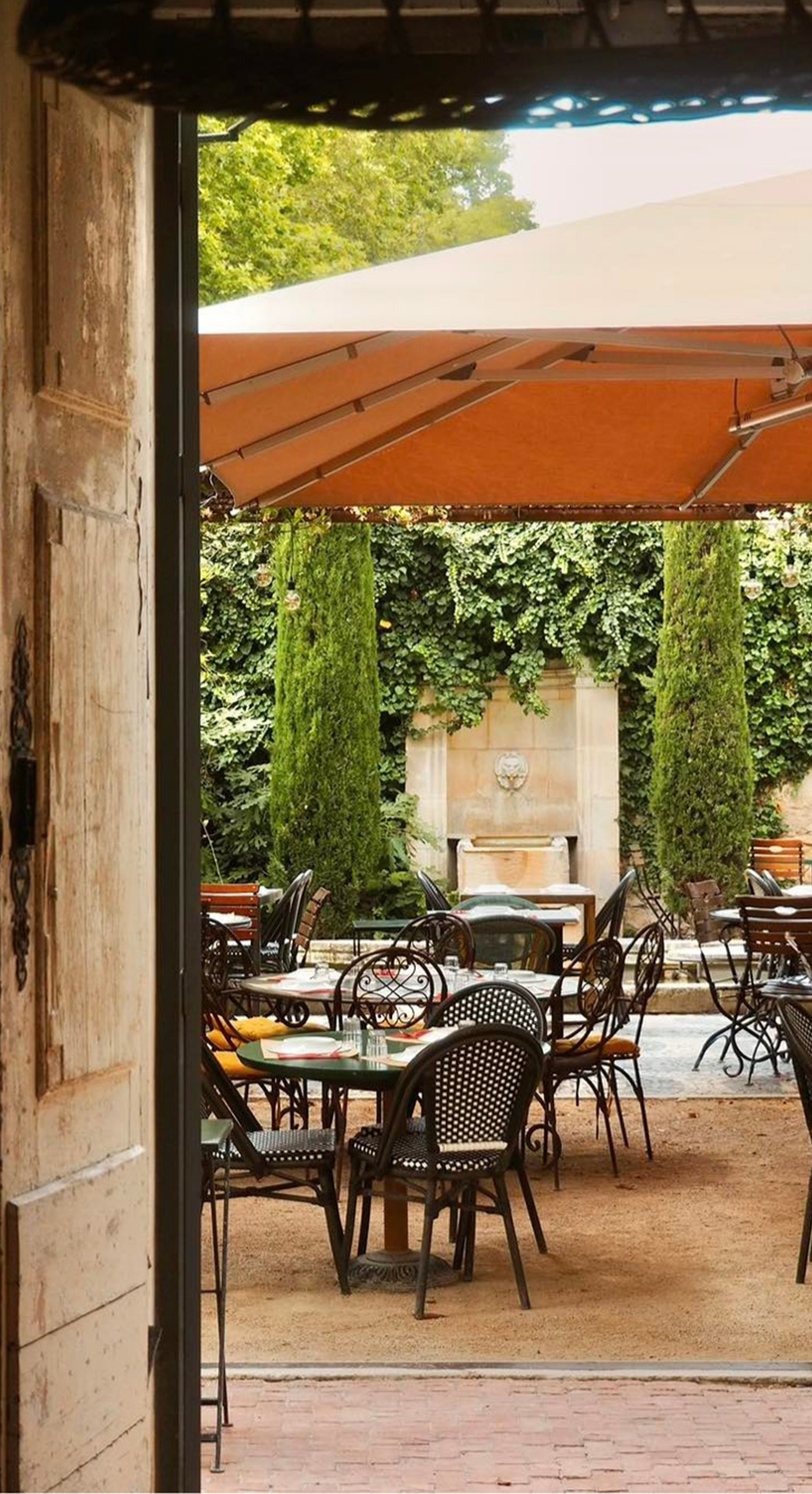 Maison Mistral, Bistrot les Pieds dans l'eau, Saint-Rémy-de-Provence - photo 6
