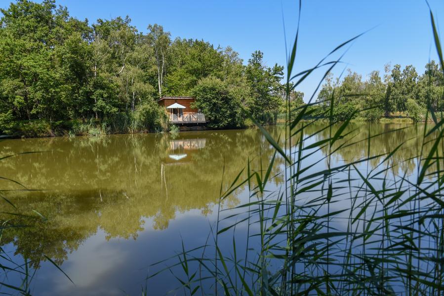 Cabane Home des bois