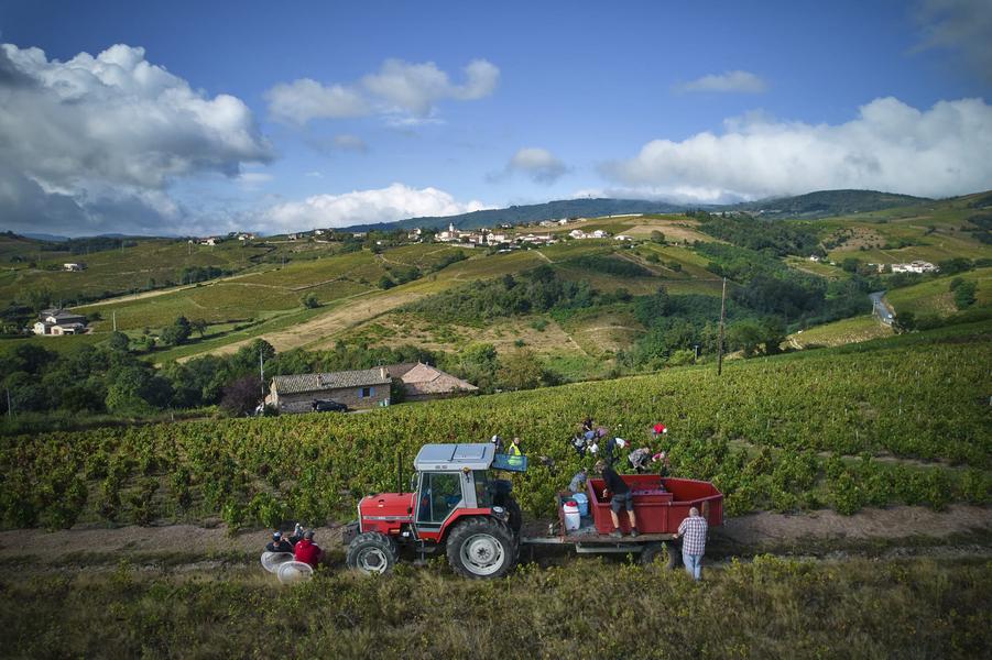 Domaine Steeve CHARVET à CHIROUBLES
