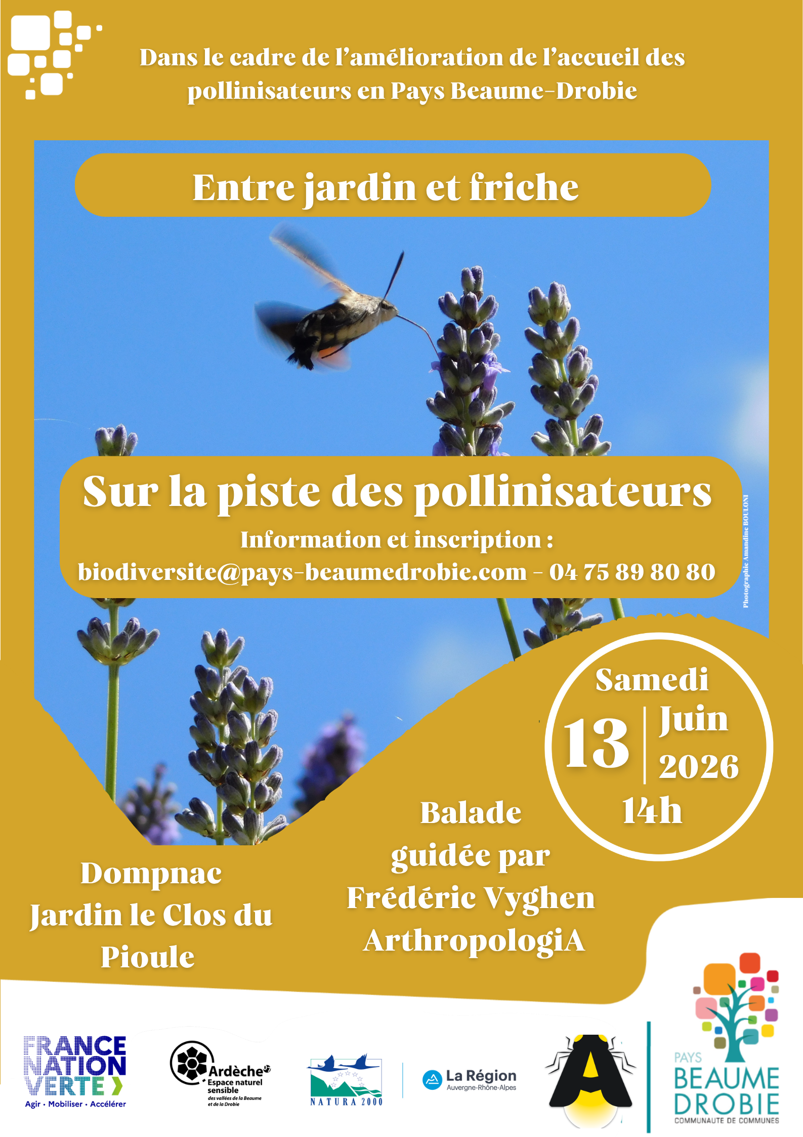Balade guidée : Entre friche et jardin, sur la piste des pollinisateurs