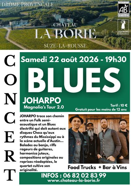 Concert de Blues