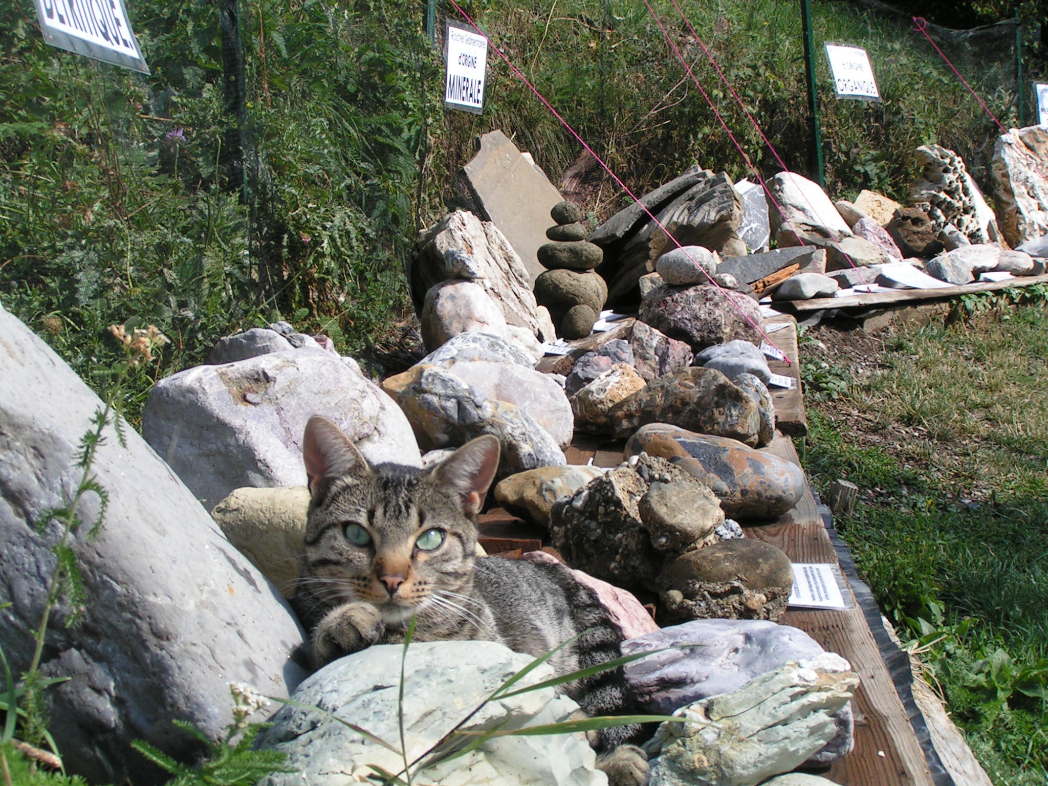 La Ferme de Téthys - Art et Géologie CROTS