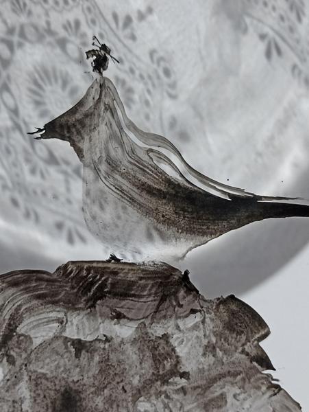 Image illustrative