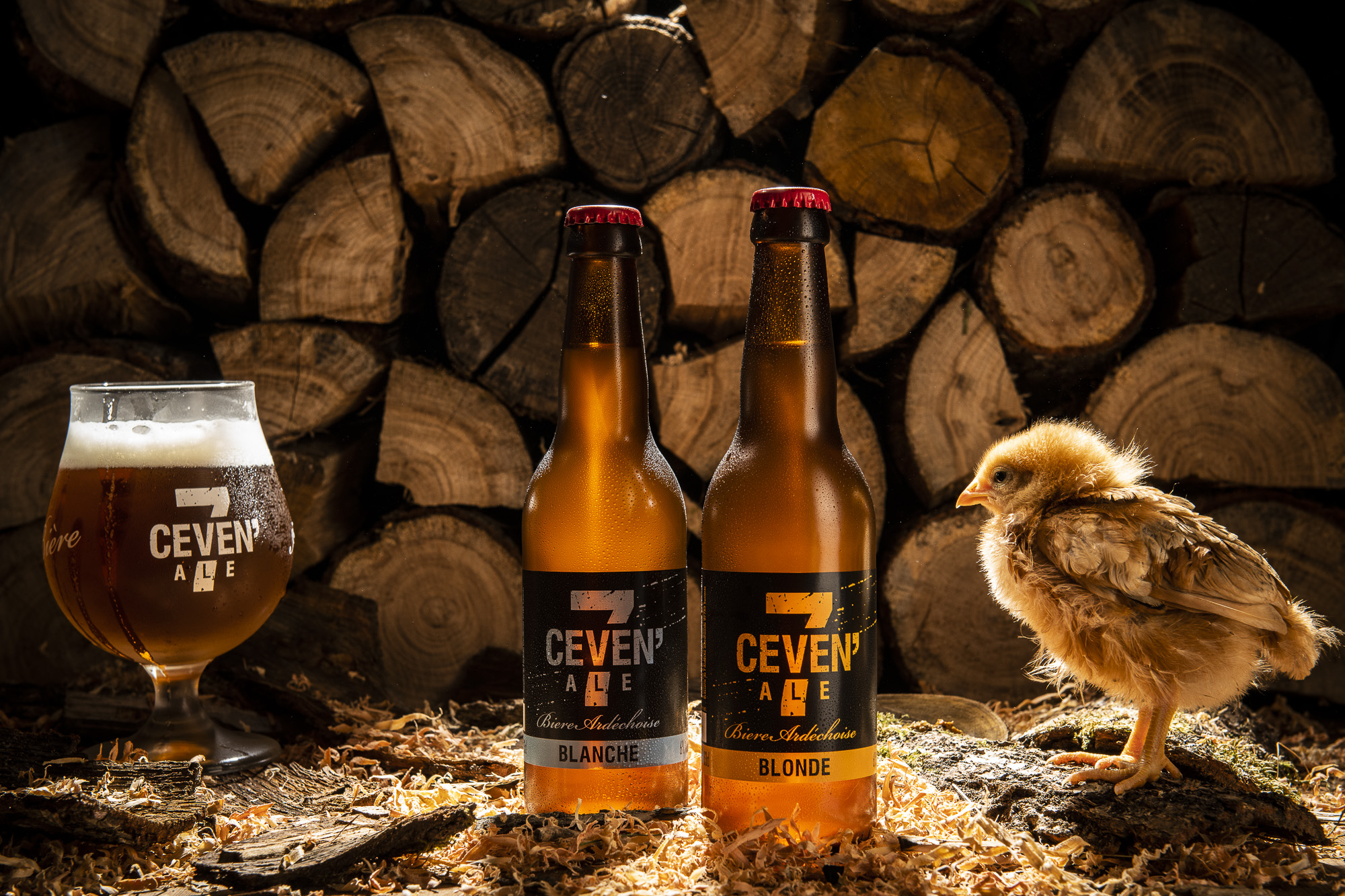 Visite et dégustation de la brasserie CEVEN'ALE