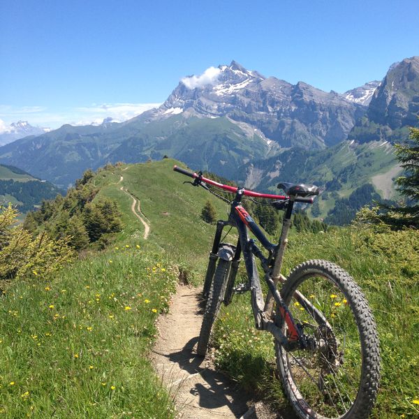 MTB School Synergie