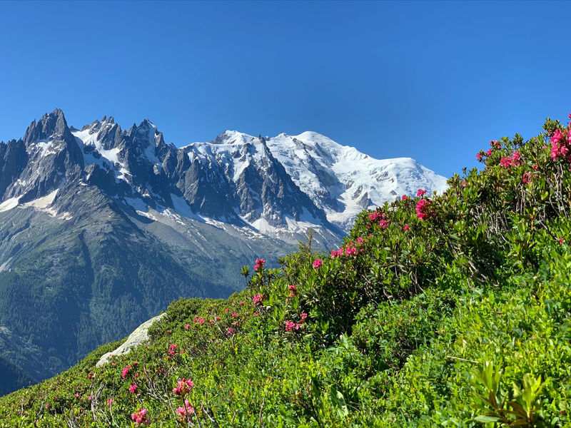Aiguillette d'Argentière