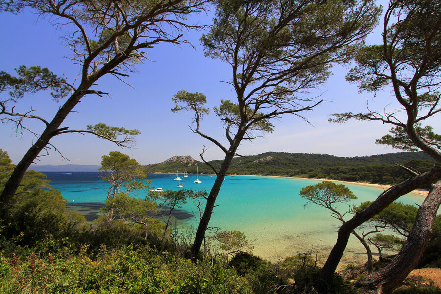 La plage Notre Dame - ile de porquerolles - hyeres