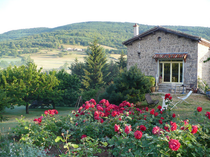 Wine Notes chez Judy avec les Vins de Vienne_Pélussin