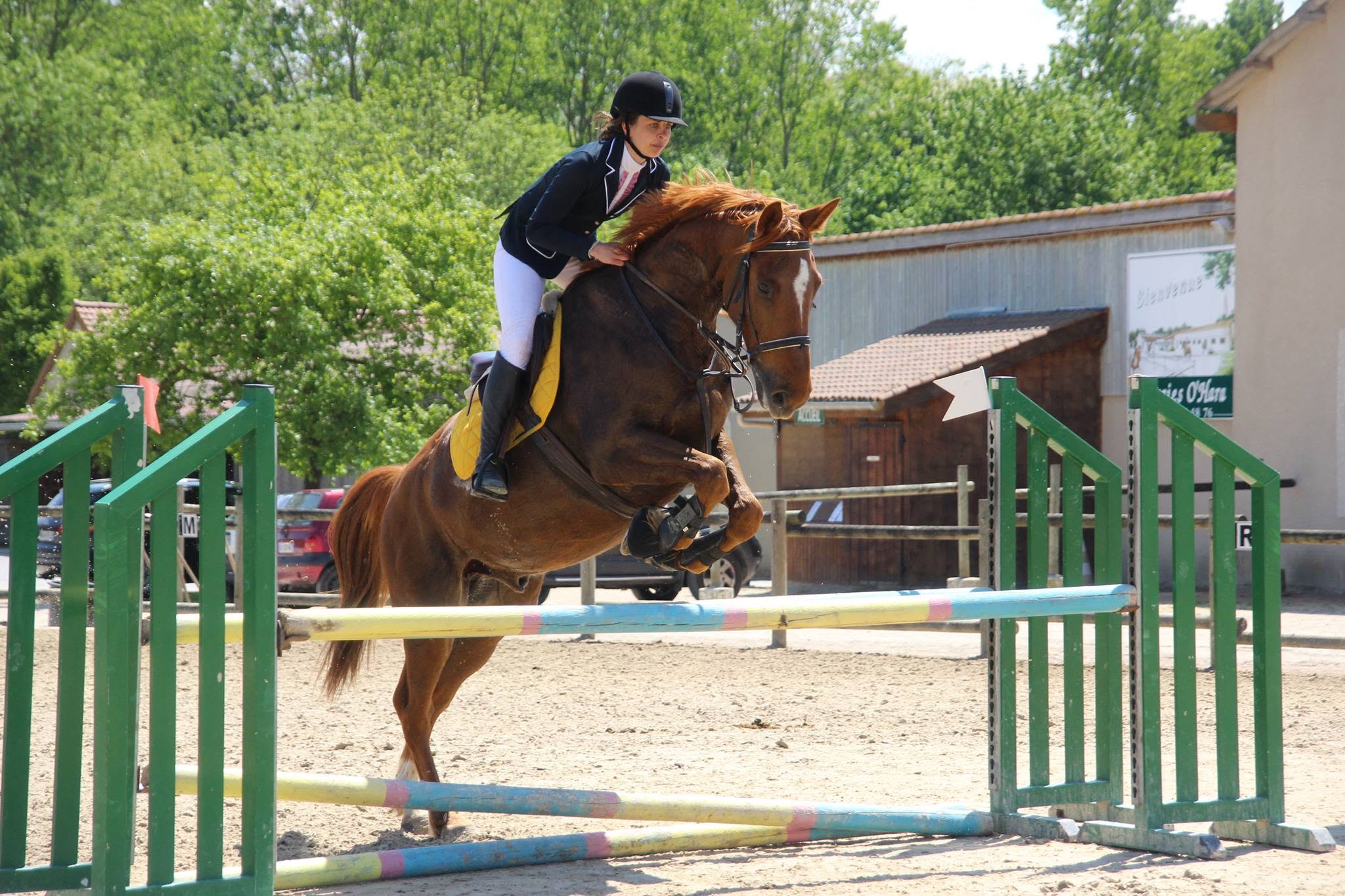 Saut