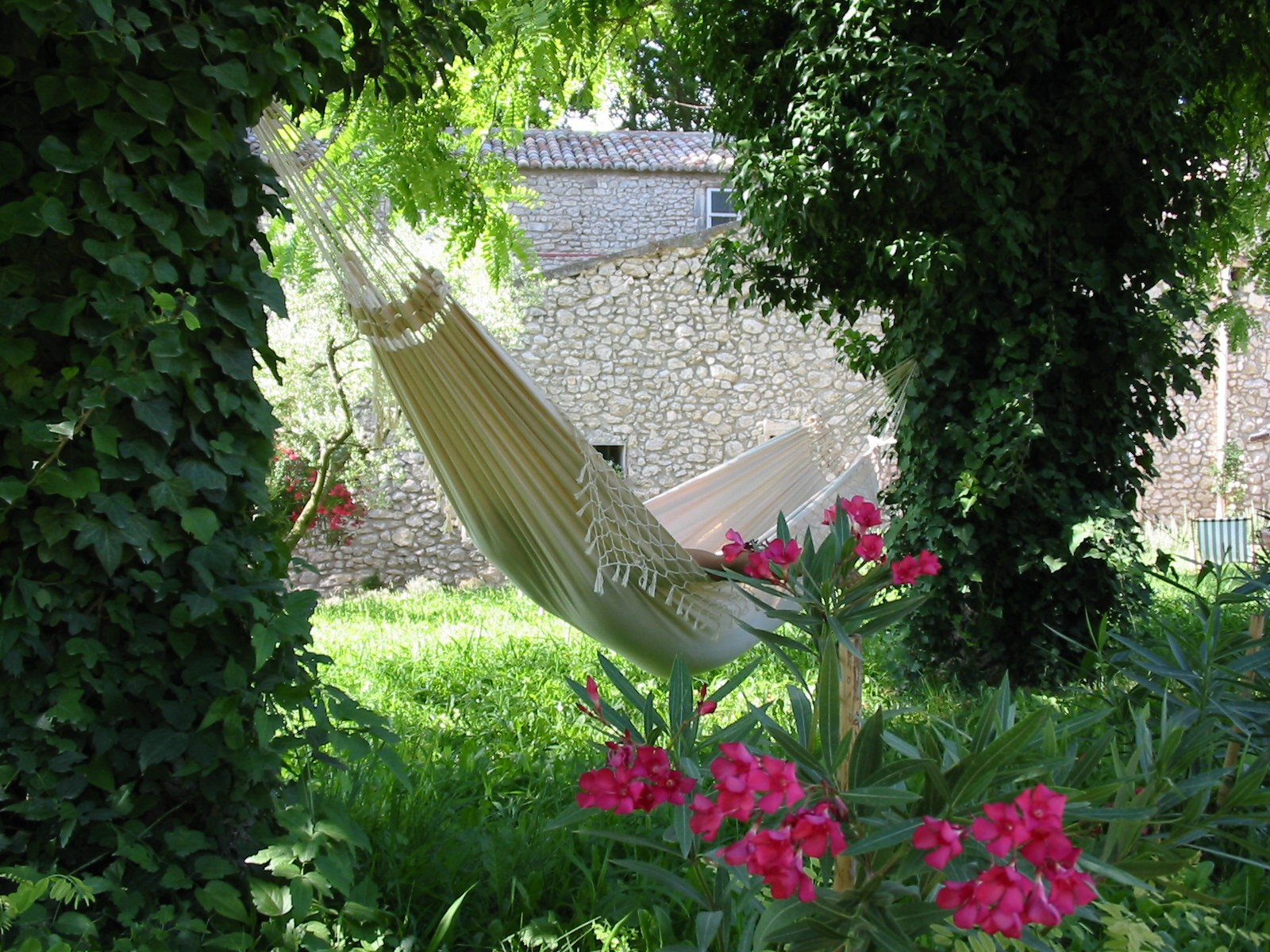 Le Mas Saint Roman, Maussane-les-Alpilles - photo 6