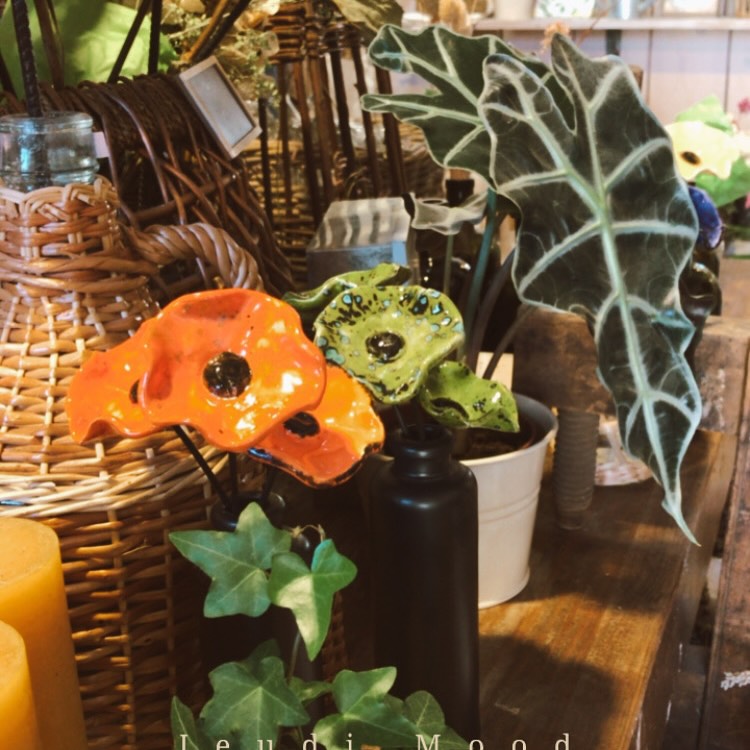Atelier Flora Zinc — photo 2