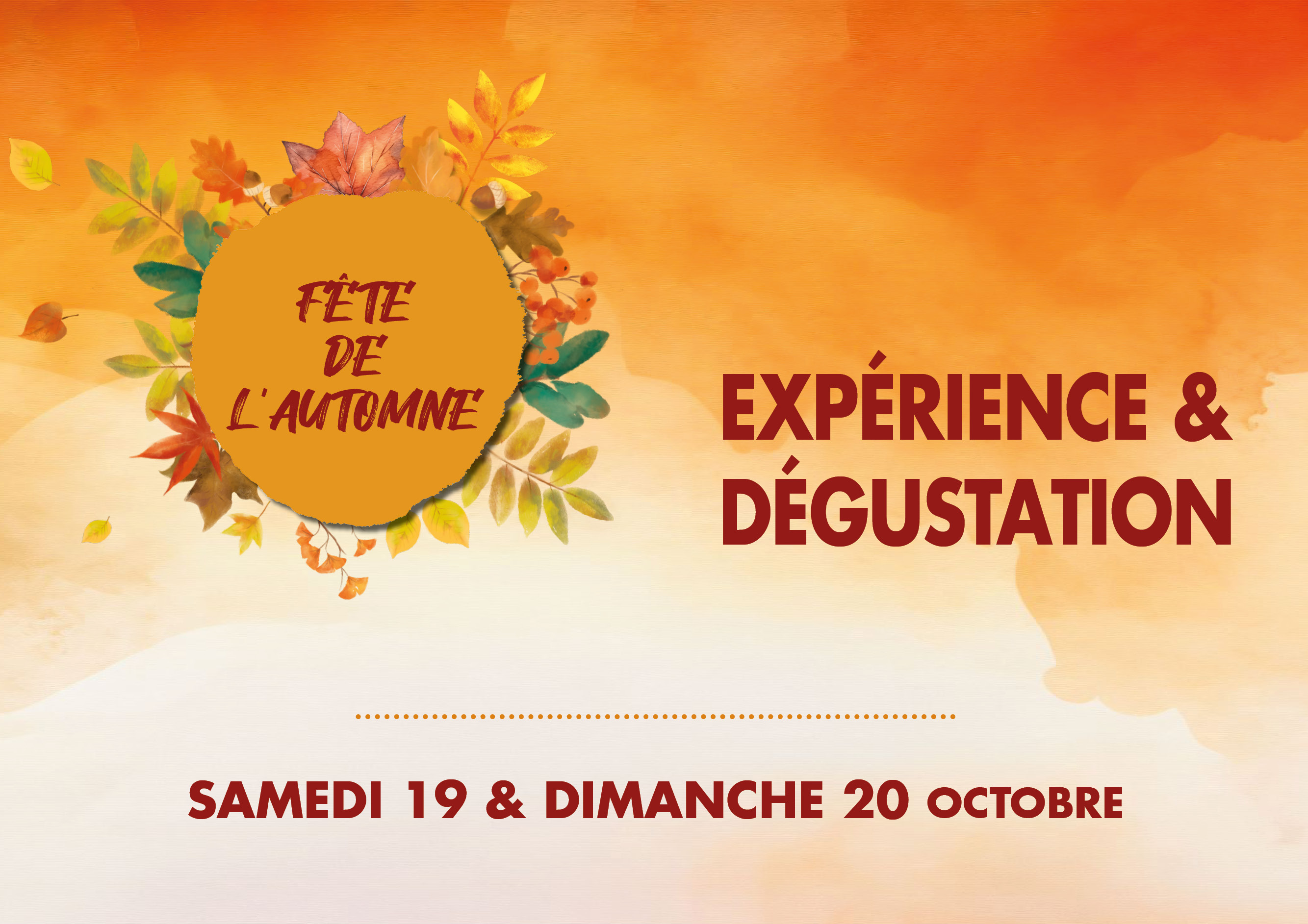 Fete de lautomne-visuel forfait hotel reservit