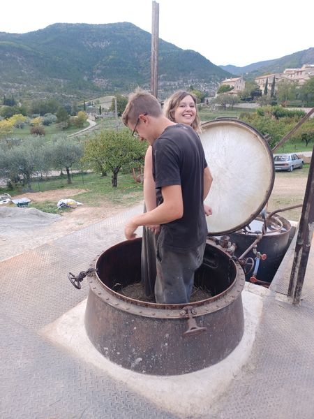 Distillation de la lavande