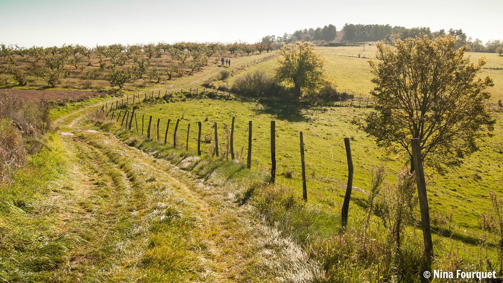 Randonnée en Hermitage Tournonais