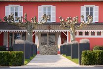 Hôtel Les Maritonnes Rouge & Blanc à Romanèche-Thorins