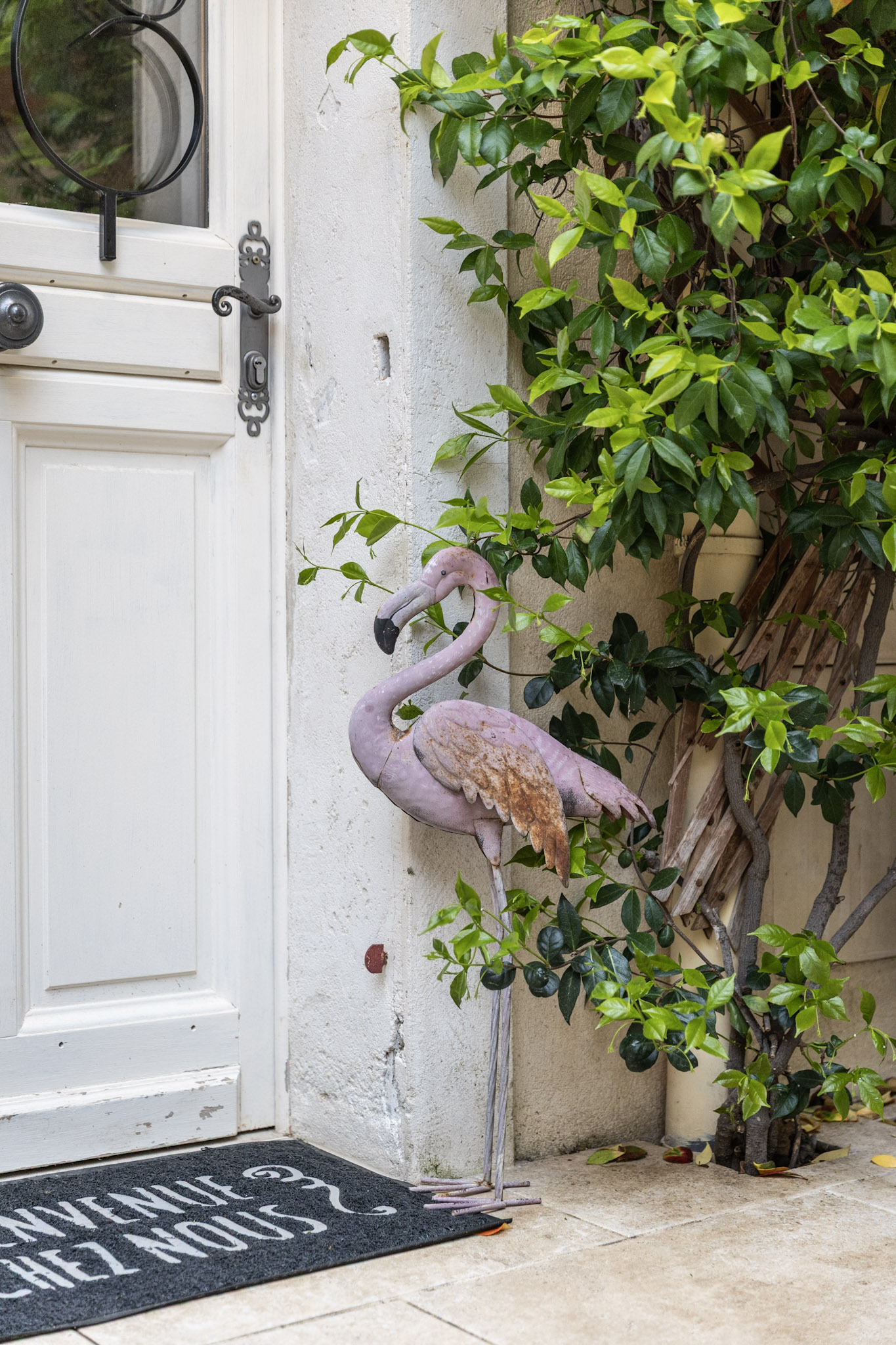 Instant en Provence La Gardian, Eyragues - photo 7