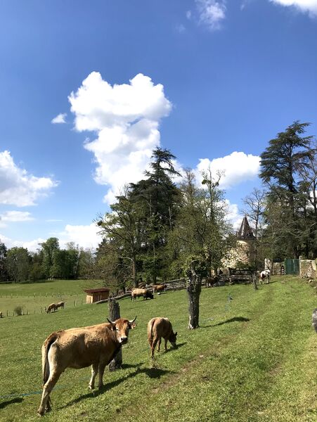 Sentier des baguenaudiers