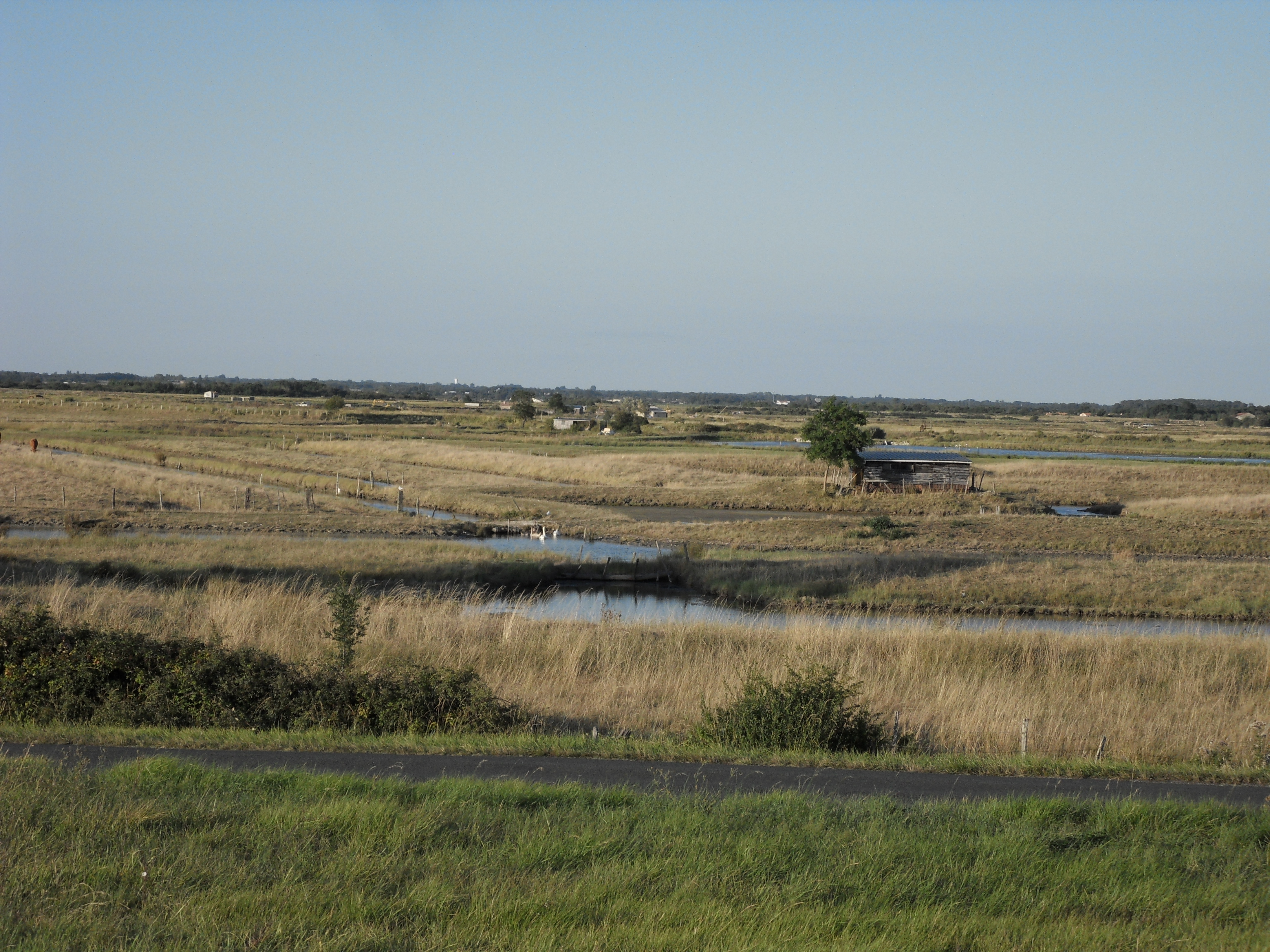 Vélo Club Saint-Palaisien