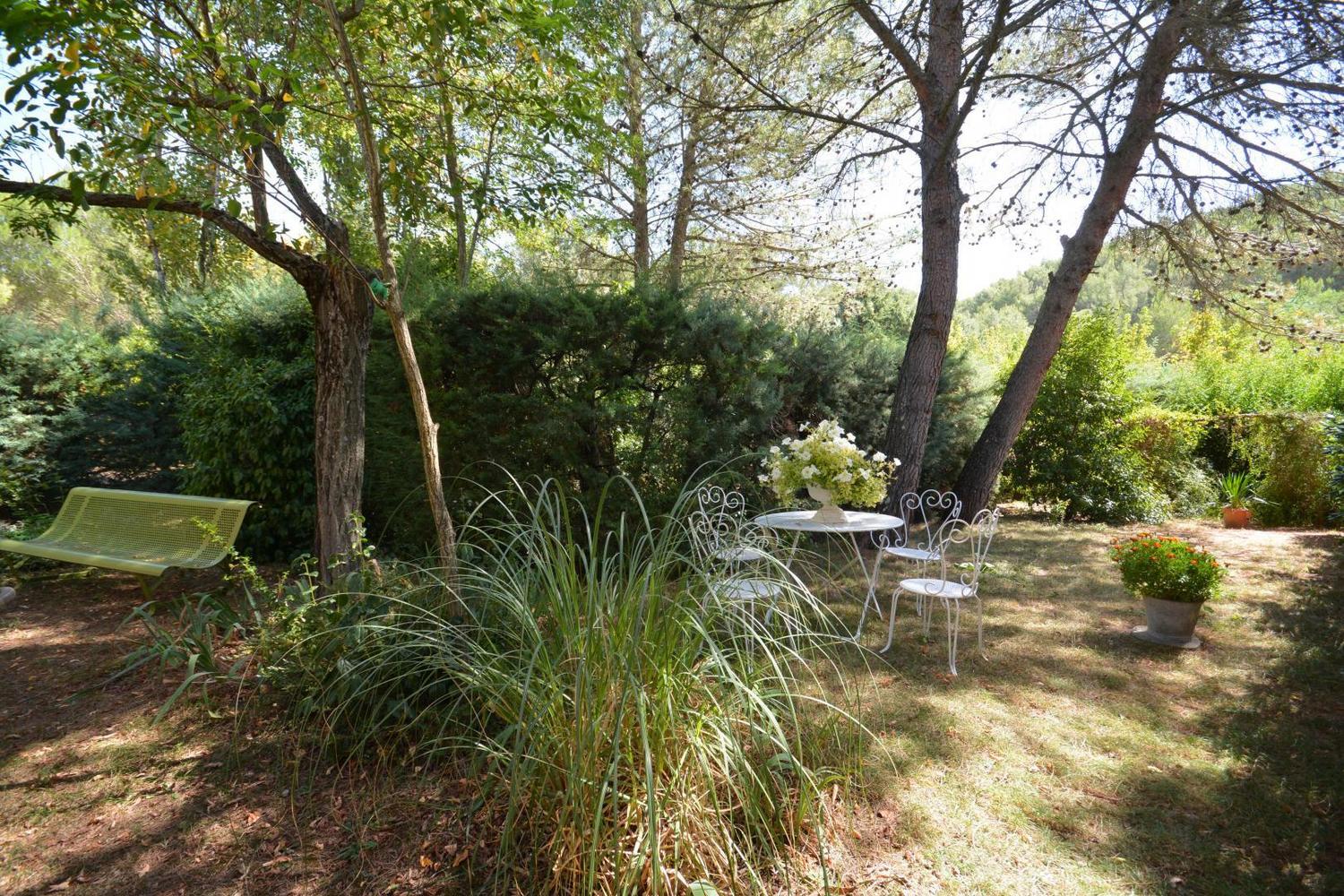 Hémérocalles, Vauvenargues - photo 14