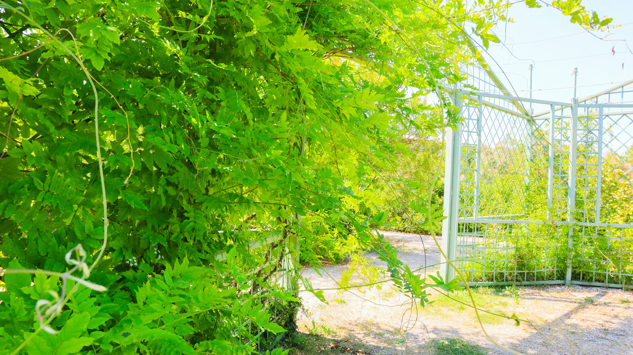 Jardin des Quatre Saisons