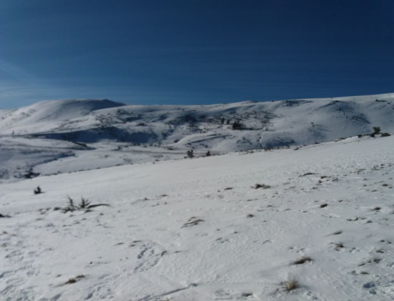 Le Plomb du Cantal depuis Prat de Bouc