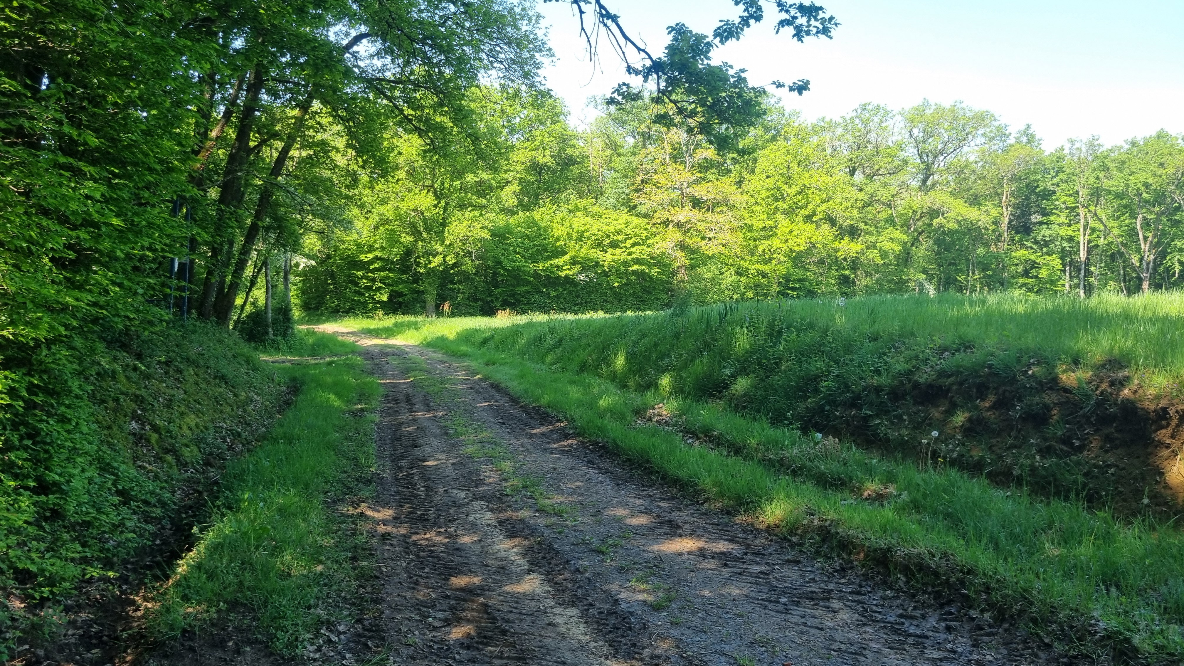 Circuit VTT n°24 (rouge) - La St Martin