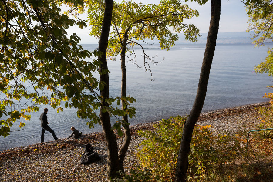 Sentier de la Pinede