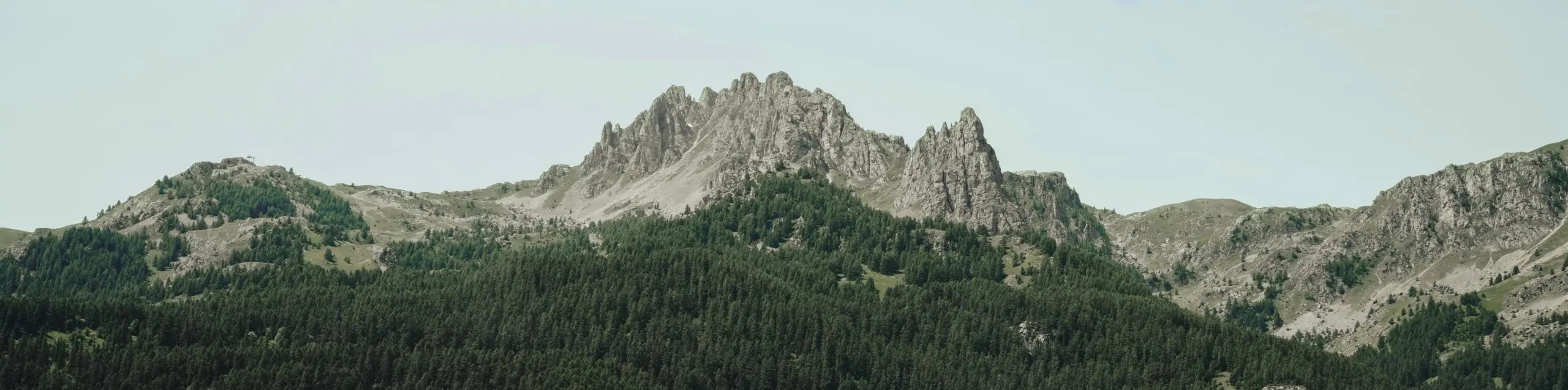 Aiguille-printemps.jpg