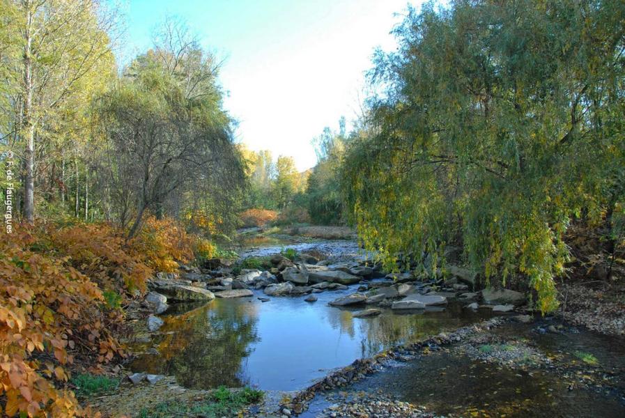 Entre sable et galets