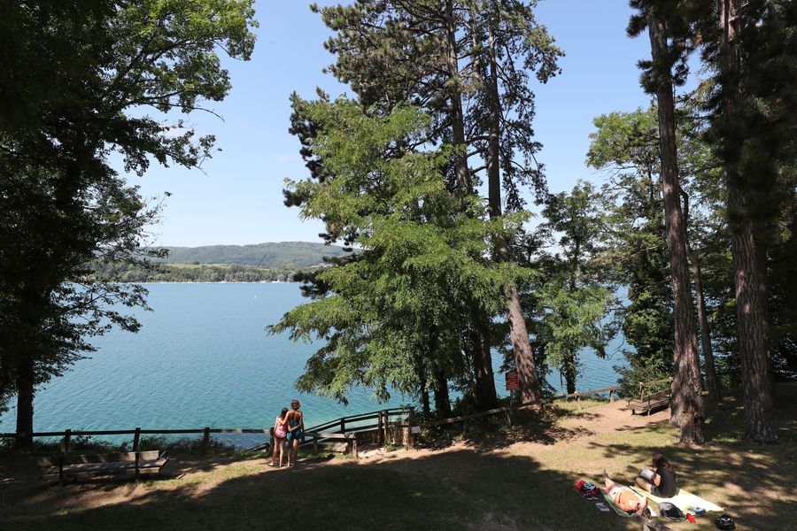 Aire de détente du bois d'amour