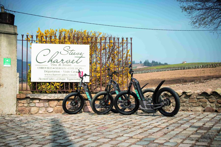 Domaine Steeve Charvet - Chiroubles