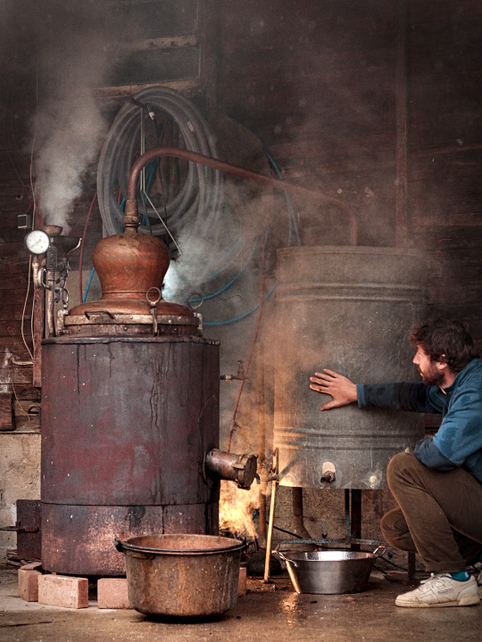 Distillerie Garagaï - photo 2