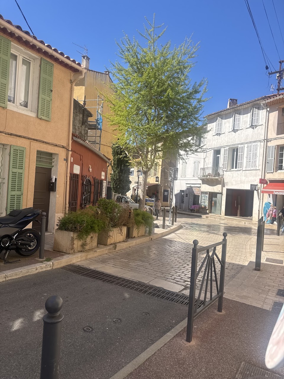 Macha Galerie Cassis — photo 2